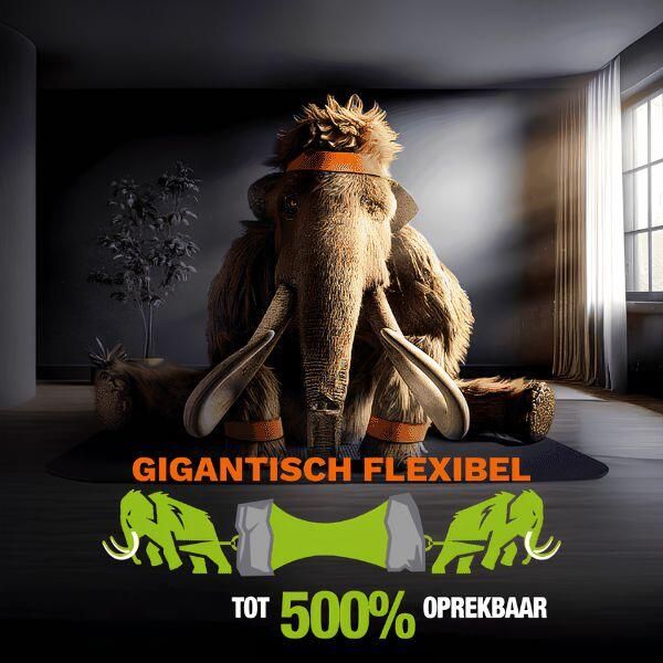 Mamut schilderskit binnen+buiten wit - Afbeelding 5